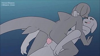 shark sex